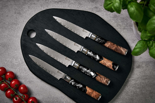 Steakmesser Set